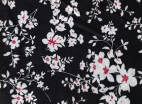 cherry blossom