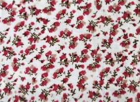 cherry rose